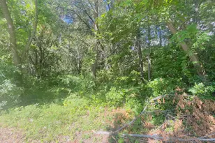 Tbd Old Cave Springs Rd, Marshall, TX 75670 - Photo 1