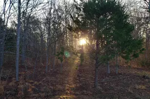 20039 Cr 450, Lindale, TX 75771 - Photo 1