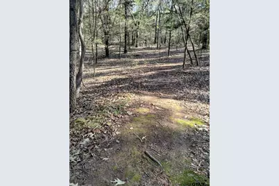 20039 Cr 450, Lindale, TX 75771 - Photo 17