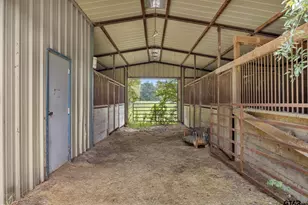 3679 FM 858, Ben Wheeler, TX 75754 - Photo 17