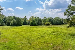 3679 FM 858, Ben Wheeler, TX 75754 - Photo 23