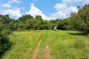 3679 FM 858, Ben Wheeler, TX 75754 - Photo 19