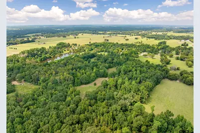 3679 Fm 858, Ben Wheeler, TX 75754 - Photo 29