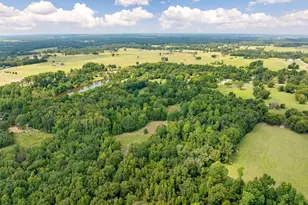 3679 FM 858, Ben Wheeler, TX 75754 - Photo 29