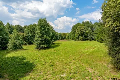 3679 Fm 858, Ben Wheeler, TX 75754 - Photo 21