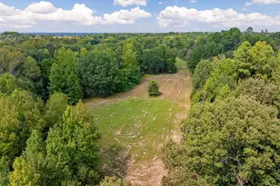 3679 FM 858, Ben Wheeler, TX 75754 - Photo 25