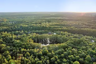 742 Private Rd 7219, Jefferson, TX 75657 - Photo 45