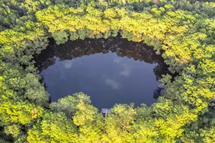 742 Private Rd 7219, Jefferson, TX 75657 - Photo 43