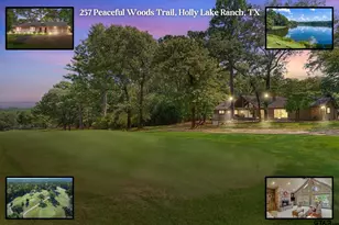 257 Peaceful Woods Trail, Holly Lake Ranch, TX 75765 - Photo 1