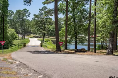 257 Peaceful Woods Trail, Holly Lake Ranch, TX 75765 - Photo 39