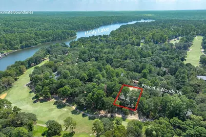 257 Peaceful Woods Trail, Holly Lake Ranch, TX 75765 - Photo 3