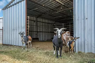 871 Vz County Rd 2520, Canton, TX 75103 - Photo 29