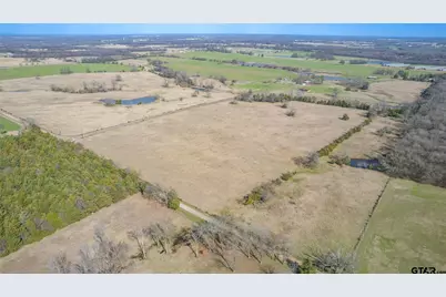 167 Acres County Road 2376, Winnsboro, TX 75494 - Photo 5