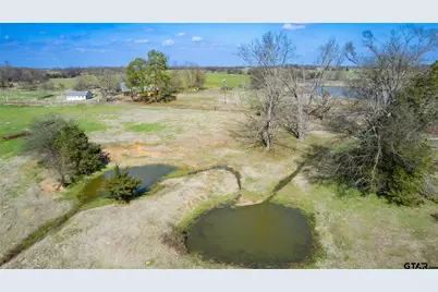 167 Acres County Road 2376, Winnsboro, TX 75494 - Photo 25
