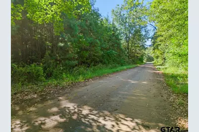 Tbd Cat Road, Gilmer, TX 75644 - Photo 21