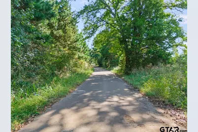 Tbd Cat Road, Gilmer, TX 75644 - Photo 3