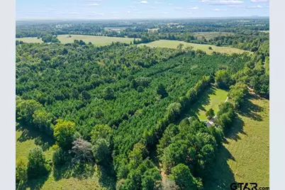 Tbd Cat Road, Gilmer, TX 75644 - Photo 13