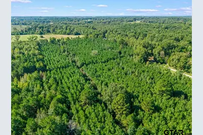Tbd Cat Road, Gilmer, TX 75644 - Photo 11