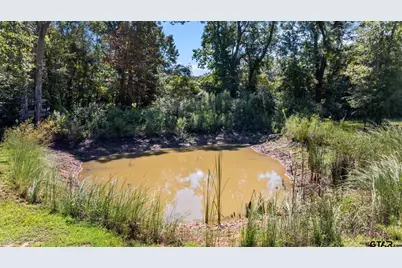 905 Cr 4914, Ben Wheeler, TX 75754 - Photo 39