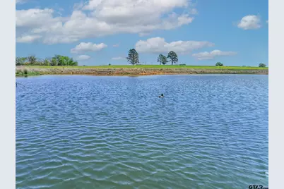 973 Cr 1604, Grand Saline, TX 75140 - Photo 21