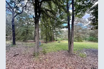192 Pr 7533, Hawkins, TX 75765 - Photo 3