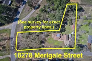 18278 Merigale Dr, Troup, TX 75789 - Photo 45