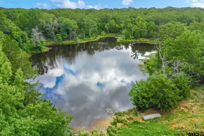 100+/- Acres Fm 773, Grand Saline, TX 75140 - Photo 3