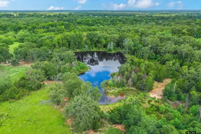 100+/- Acres Fm 773, Grand Saline, TX 75140 - Photo 5