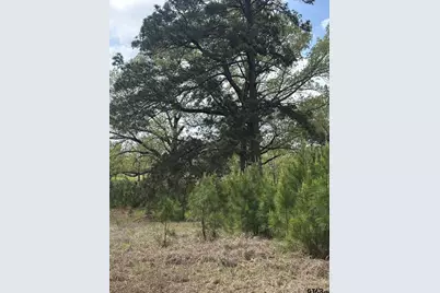 18304 Timber Oaks, Lindale, TX 75771 - Photo 7