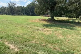 Lot 9 Cr 3605, Bullard, TX 75757 - Photo 3