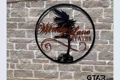 Lot 12 Cr 3605, Bullard, TX 75757 - Photo 9