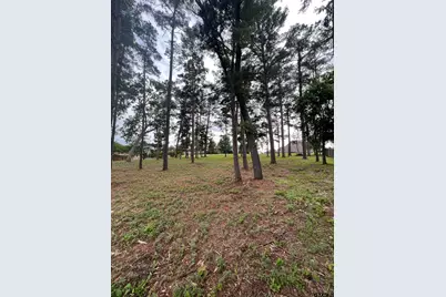 7125 Nottaway Dr, Tyler, TX 75703 - Photo 3