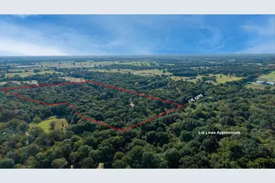 412 Rs County Road 1275, Emory, TX 75440 - Photo 3