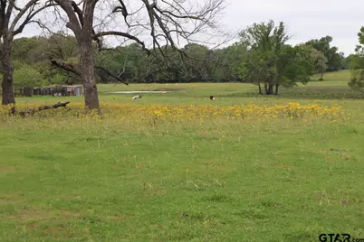 Tbd Rs County Road 2365, Alba, TX 75410 - Photo 7