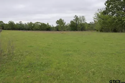 Tbd Rs County Road 2365, Alba, TX 75410 - Photo 21