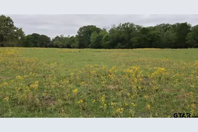 Tbd Rs County Road 2365, Alba, TX 75410 - Photo 17