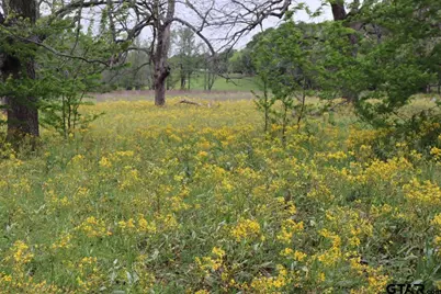 Tbd Rs County Road 2365, Alba, TX 75410 - Photo 3