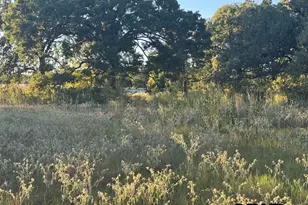 767 Welch Ln, Gun Barrel City, TX 75156 - Photo 1