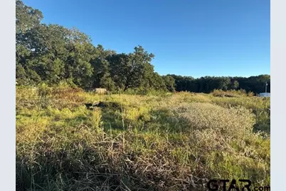 767 Welch Ln, Gun Barrel City, TX 75156 - Photo 7