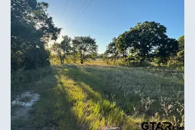 767 Welch Ln, Gun Barrel City, TX 75156 - Photo 5