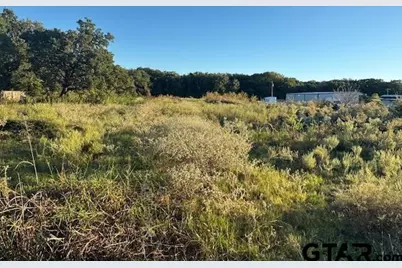 767 Welch Ln, Gun Barrel City, TX 75156 - Photo 9