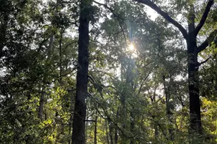 246 Spring Lake Knoll, Holly Lake Ranch, TX 75765 - Photo 1