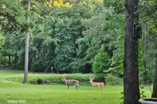 4491 S Fm 2869, Hawkins, TX 75765 - Photo 3