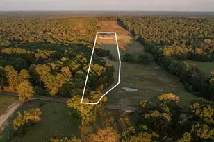 1258 Firetower, Hallsville, TX 75650 - Photo 3