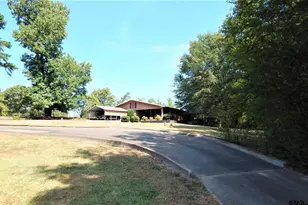 1801 Co Rd 4420, Winnsboro, TX 75494 - Photo 27