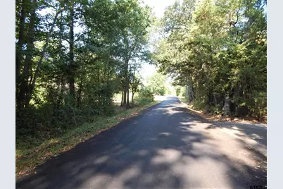 1801 Cr 4420, Winnsboro, TX 75494 - Photo 35