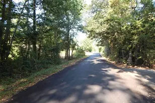 1801 Co Rd 4420, Winnsboro, TX 75494 - Photo 35