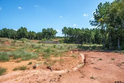 18021 S State Highway 155, Flint, TX 75762 - Photo 13