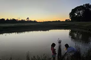 5211 VZ County Rd 1222, Grand Saline, TX 75140 - Photo 3