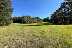 Tbd Cr 1579, Avinger, TX 75630 - Photo 1